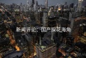 新闻评论：国产探花海角
