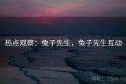 热点观察：兔子先生，兔子先生互动