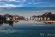 国产探花——深度报道特别报道