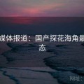 权威媒体报道：国产探花海角最新动态