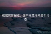 权威媒体报道：国产探花海角最新动态