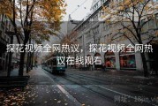 探花视频全网热议，探花视频全网热议在线观看