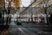 91网引发的争议继续扩大，91网引发的争议继续扩大怎么办