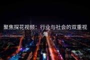 聚焦探花视频：行业与社会的双重视角