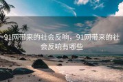 91网带来的社会反响，91网带来的社会反响有哪些