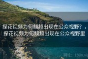 探花视频为何频频出现在公众视野？，探花视频为何频频出现在公众视野里