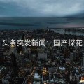 头条突发新闻：国产探花
