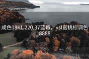 成色18k1.220.37蓝莓，ysl蜜桃棕调色8888