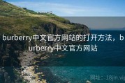burberry中文官方网站的打开方法，burberry中文官方网站
