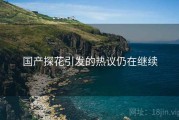 国产探花引发的热议仍在继续
