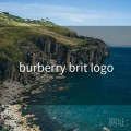 burberry brit logo