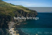 burberry brit logo