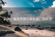 突发！蜜桃传媒引发社会广泛关注