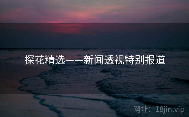 探花精选——新闻透视特别报道