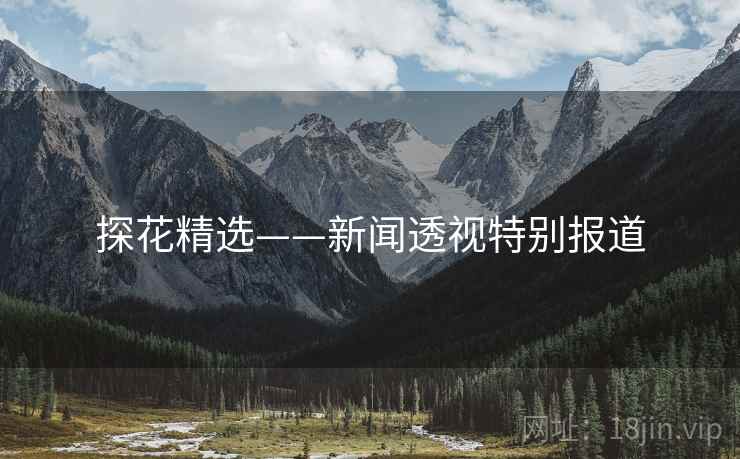 探花精选——新闻透视特别报道