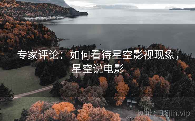 专家评论：如何看待星空影视现象，星空说电影