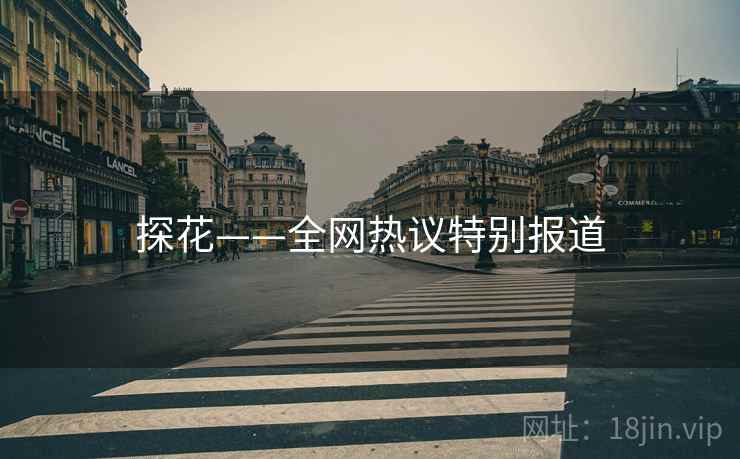 探花——全网热议特别报道