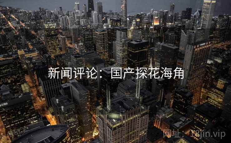 新闻评论：国产探花海角