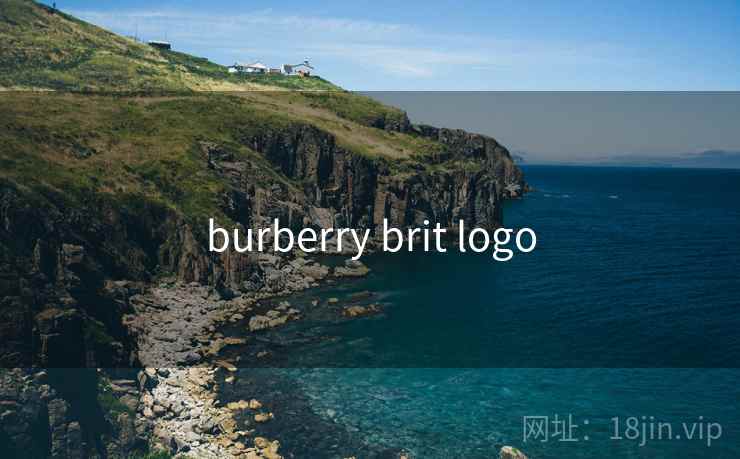 burberry brit logo