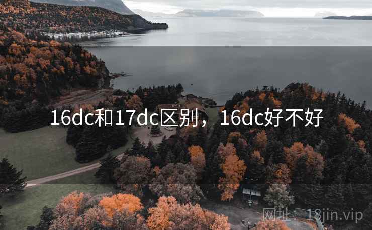 16dc和17dc区别，16dc好不好