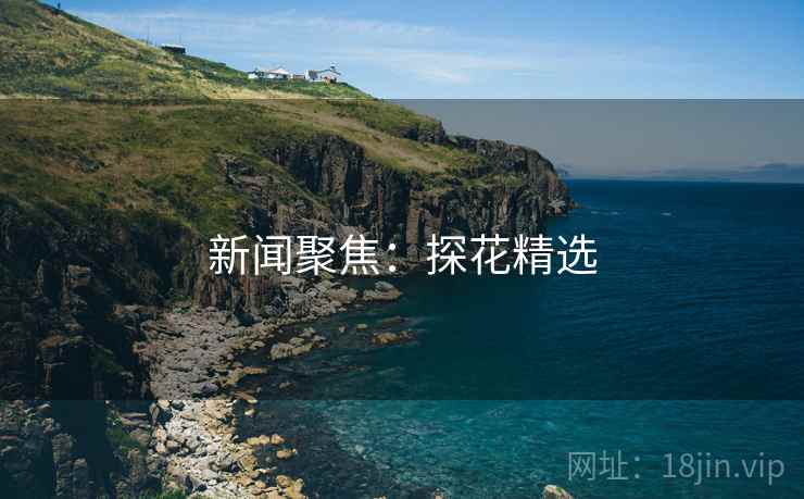 新闻聚焦：探花精选