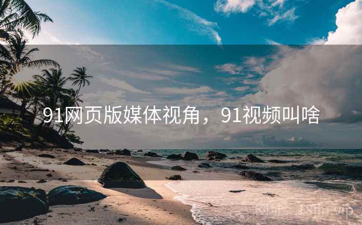 91网页版媒体视角，91视频叫啥