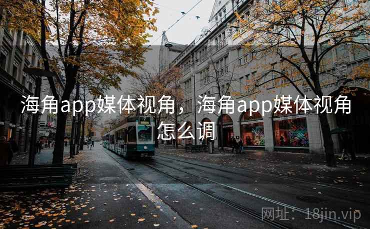海角app媒体视角，海角app媒体视角怎么调
