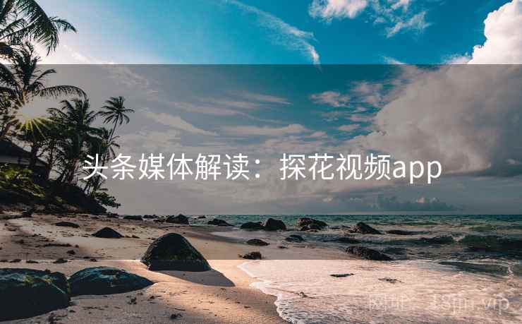 头条媒体解读：探花视频app