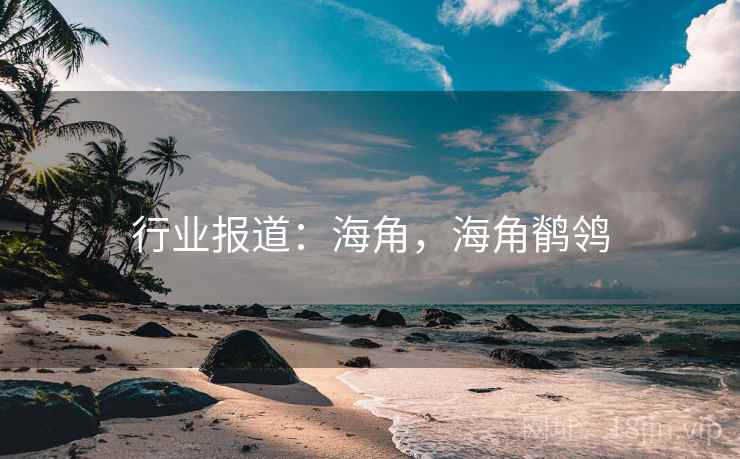 行业报道：海角，海角鹡鸰