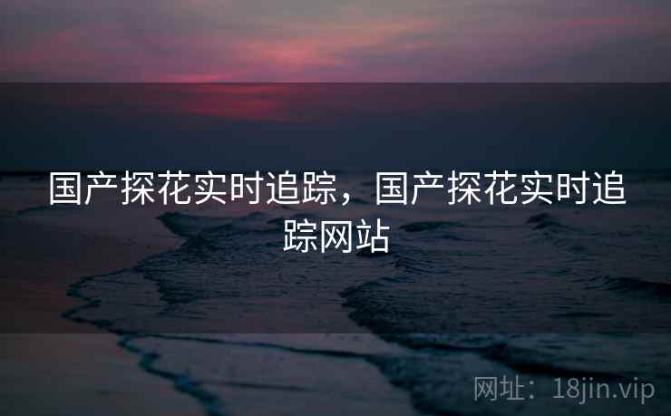 国产探花实时追踪，国产探花实时追踪网站