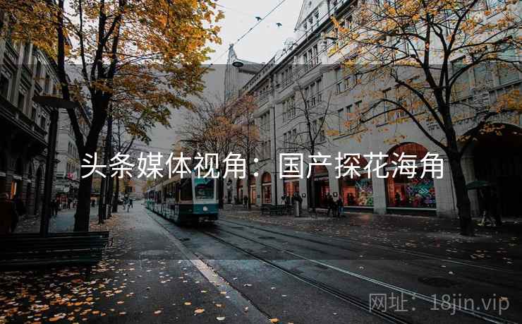头条媒体视角：国产探花海角
