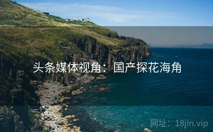 头条媒体视角：国产探花海角