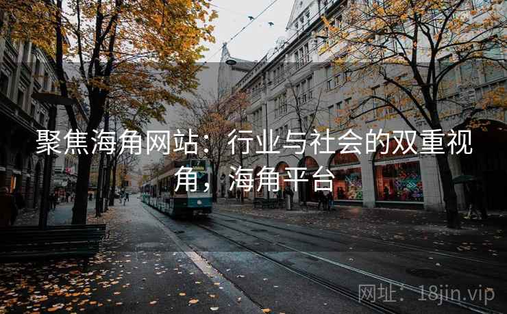 聚焦海角网站：行业与社会的双重视角，海角平台