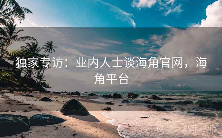 独家专访：业内人士谈海角官网，海角平台