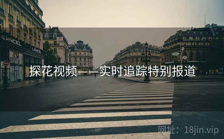 探花视频——实时追踪特别报道