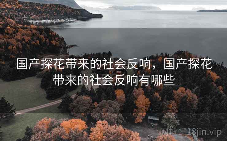 国产探花带来的社会反响，国产探花带来的社会反响有哪些