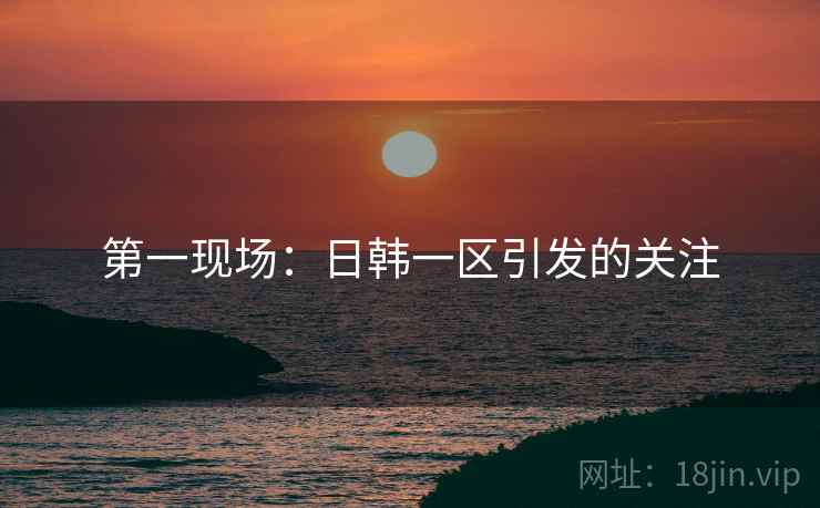 第一现场：日韩一区引发的关注