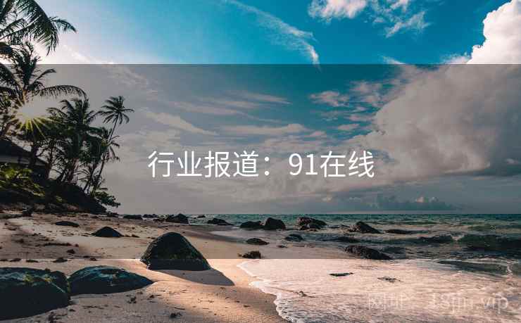 行业报道：91在线