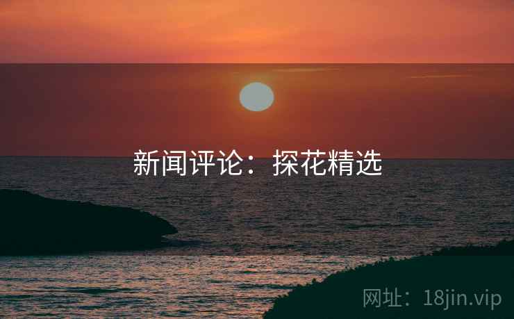 新闻评论：探花精选