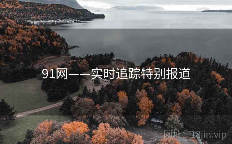 91网——实时追踪特别报道
