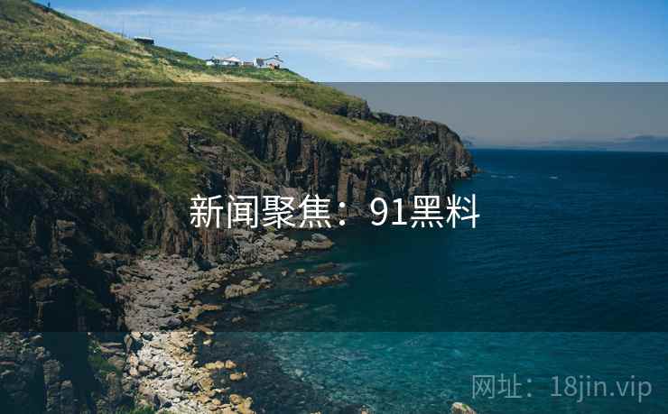 新闻聚焦：91黑料