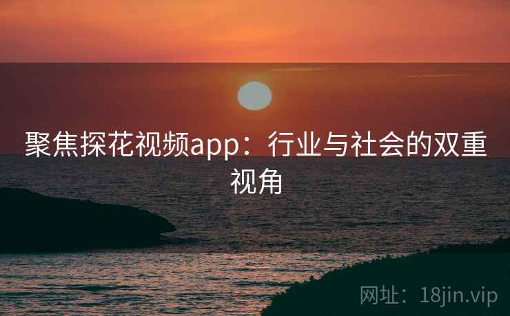 聚焦探花视频app：行业与社会的双重视角