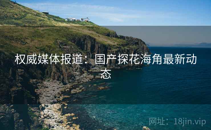权威媒体报道：国产探花海角最新动态