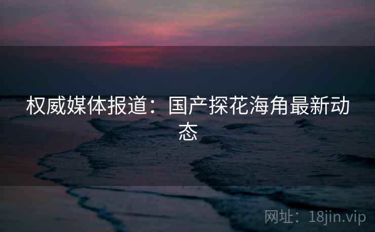 权威媒体报道：国产探花海角最新动态